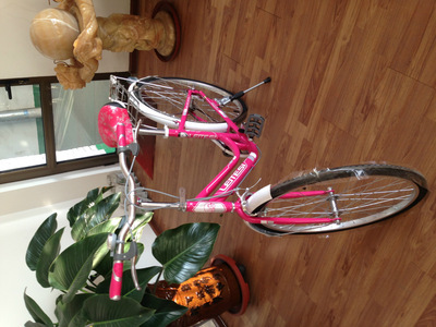 【天津市濮琪自行車(chē)】?jī)r(jià)格,廠家,圖片,自行車(chē),天津市濮琪自行車(chē)-